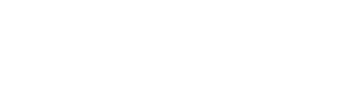 MIGUEL TORRES